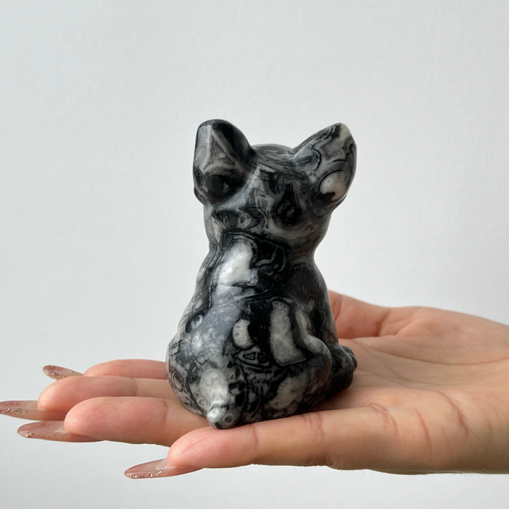 Ammonite Fossil Dog