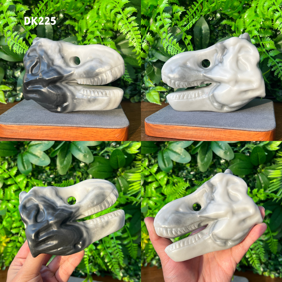 Tyrannosaurus Skull Carving