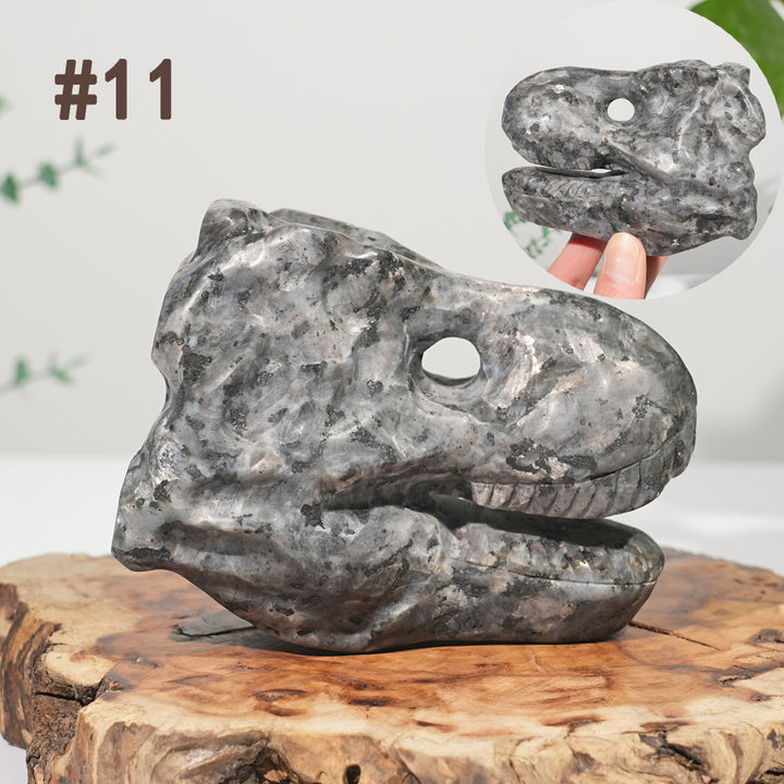 Unique,Natural Carving Dinosaur Skull