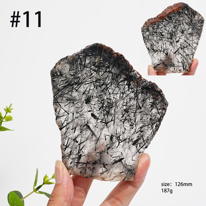 Unique,Natural Crystal Black Tourmaline In Quartz Slice