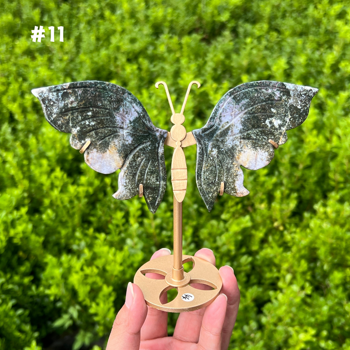Ocean Jasper Butterfly