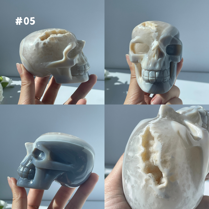 Big Sale,Agate Geode Skull