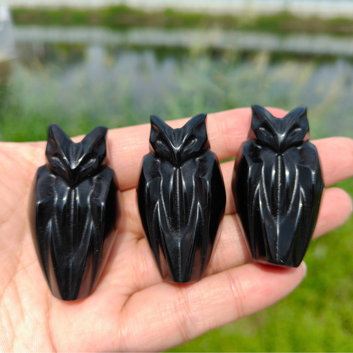 Obsidian Bat