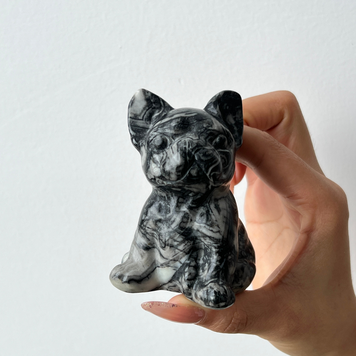 Ammonite Fossil Dog