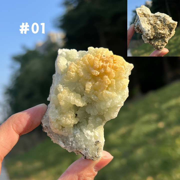 Unique Natural Raw Prehnite With Quartz Mineral Cluster