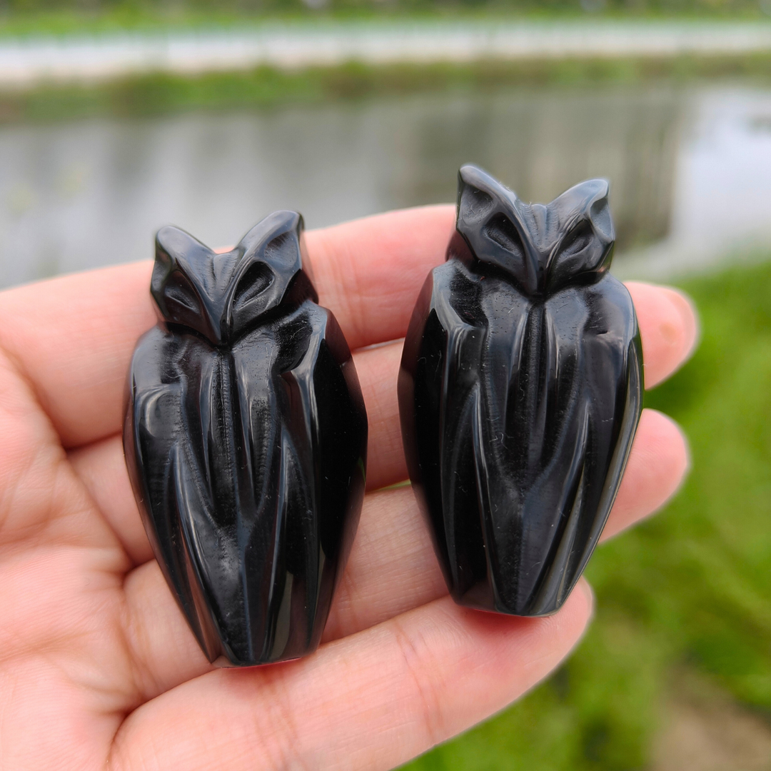 Obsidian Bat