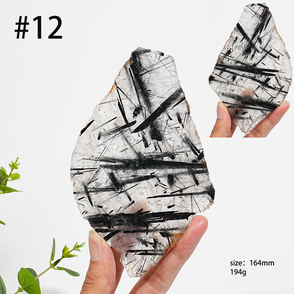 Unique,Natural Crystal Black Tourmaline In Quartz Slice