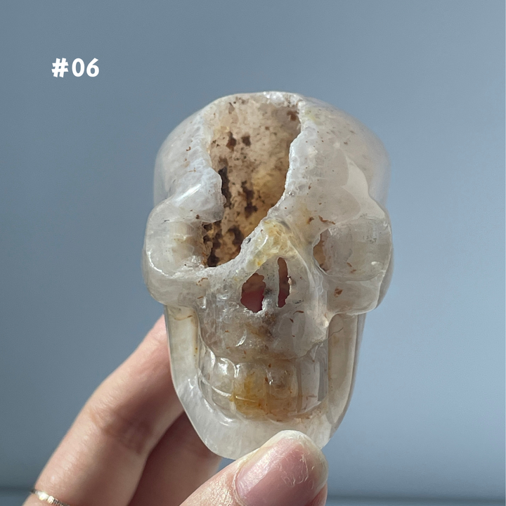 Big Sale,Agate Geode Skull