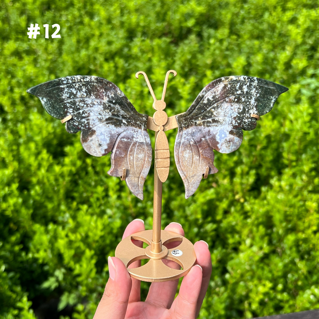 Ocean Jasper Butterfly
