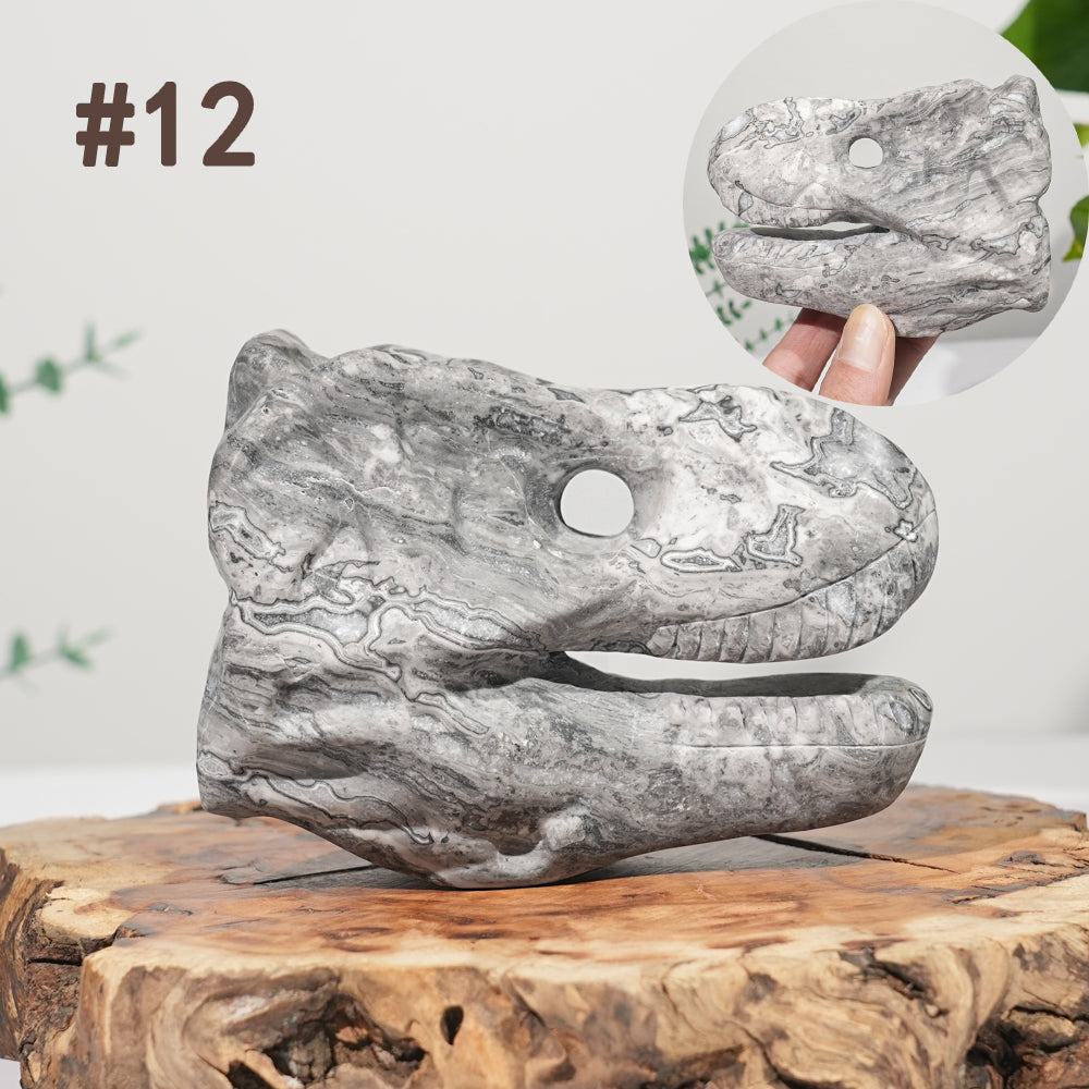 Unique,Natural Carving Dinosaur Skull