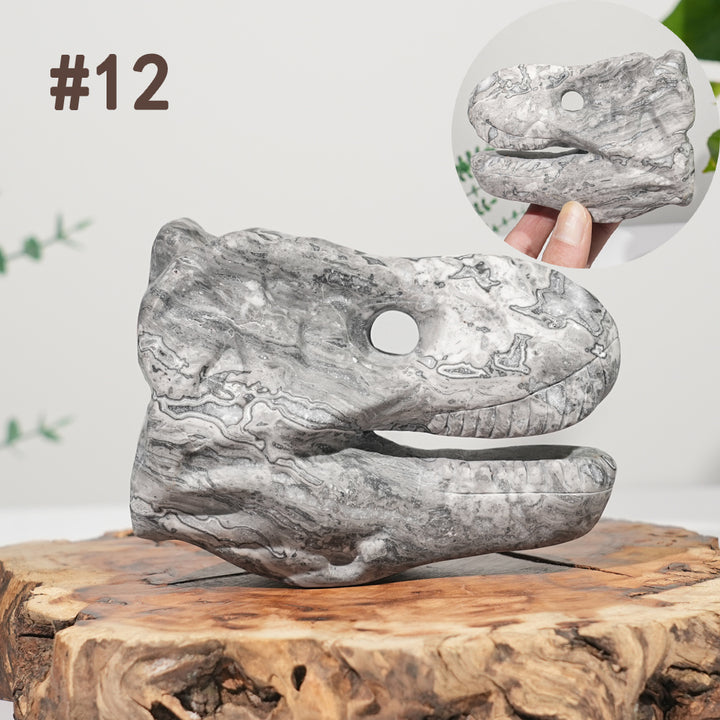 Unique,Natural Carving Dinosaur Skull