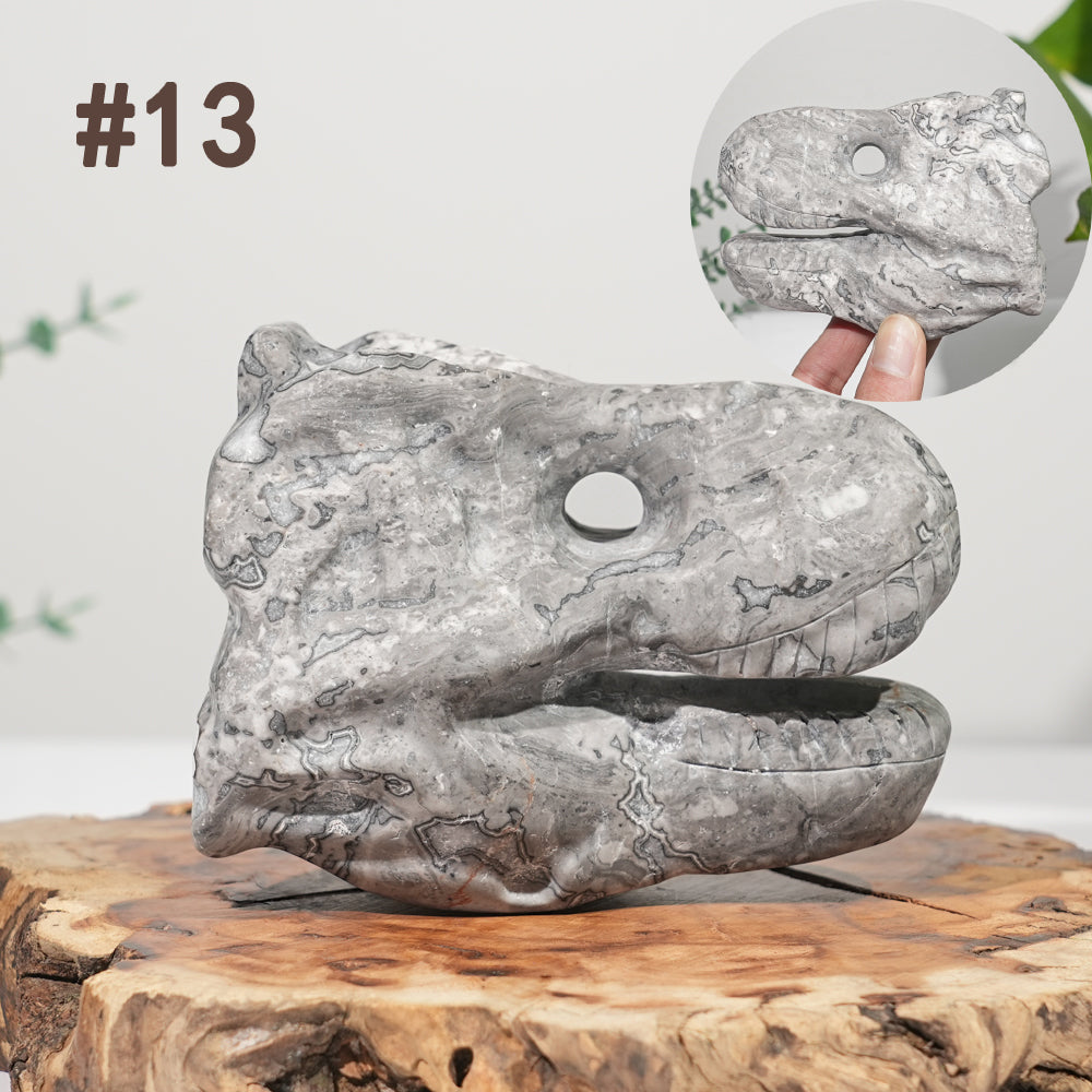 Unique,Natural Carving Dinosaur Skull