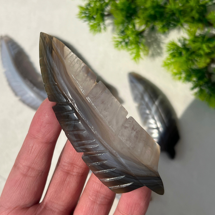 Agate Feather