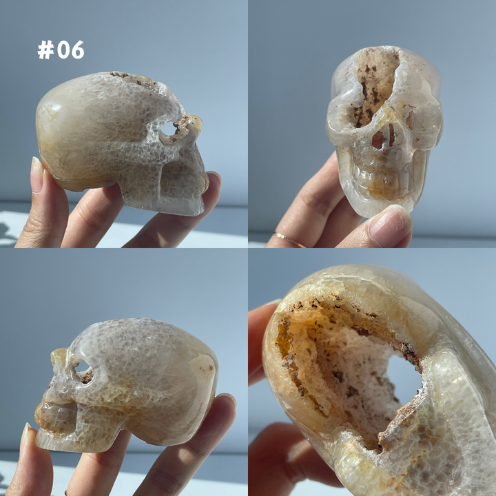 Big Sale,Agate Geode Skull
