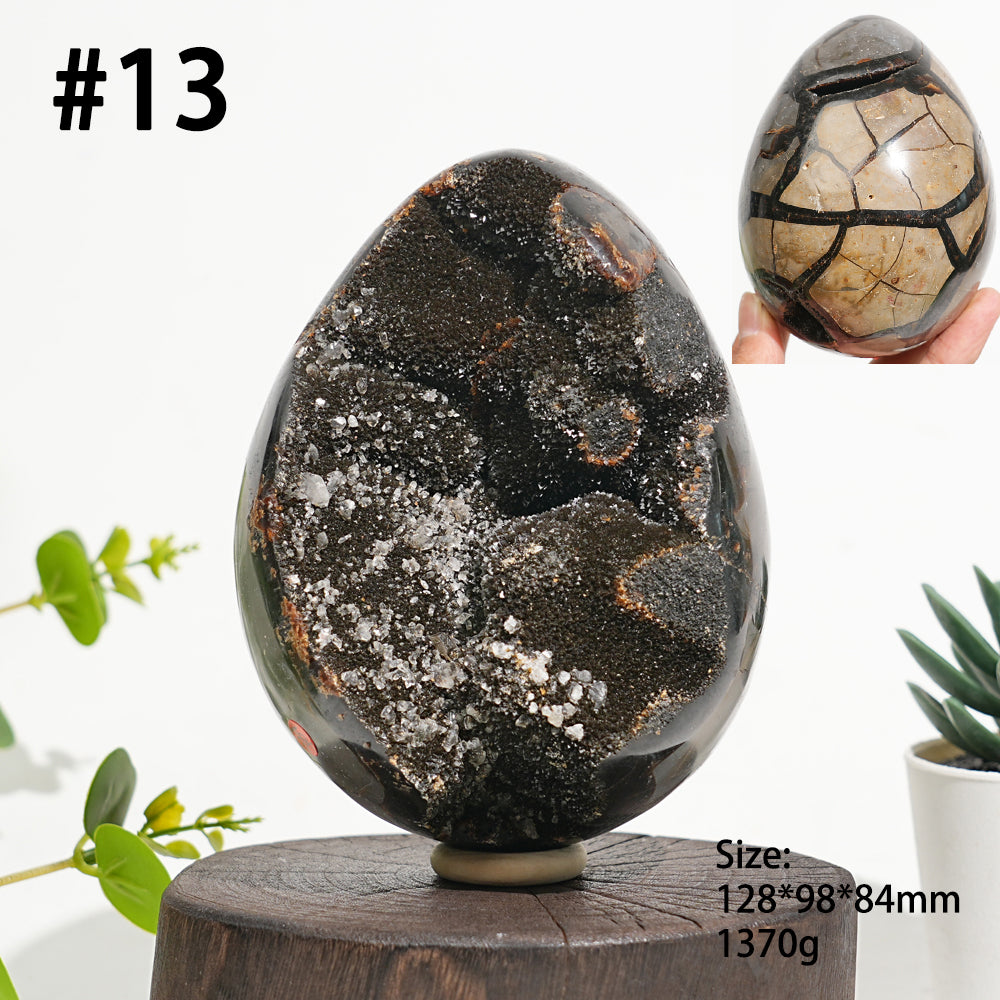 Unique,Natural Crystal Septarian Egg