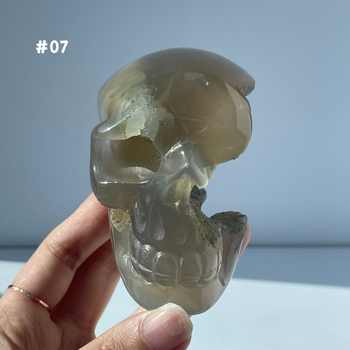 Big Sale,Agate Geode Skull