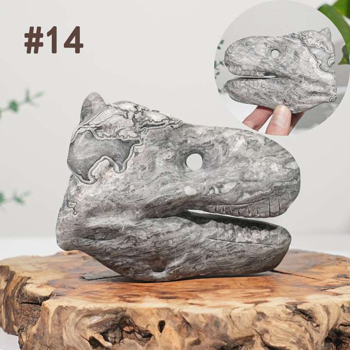 Unique,Natural Carving Dinosaur Skull