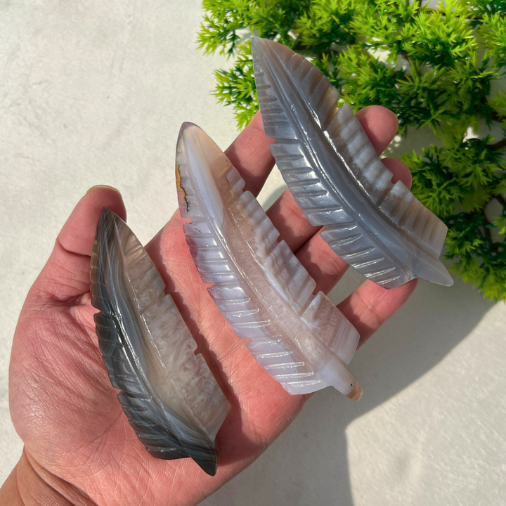 Agate Feather