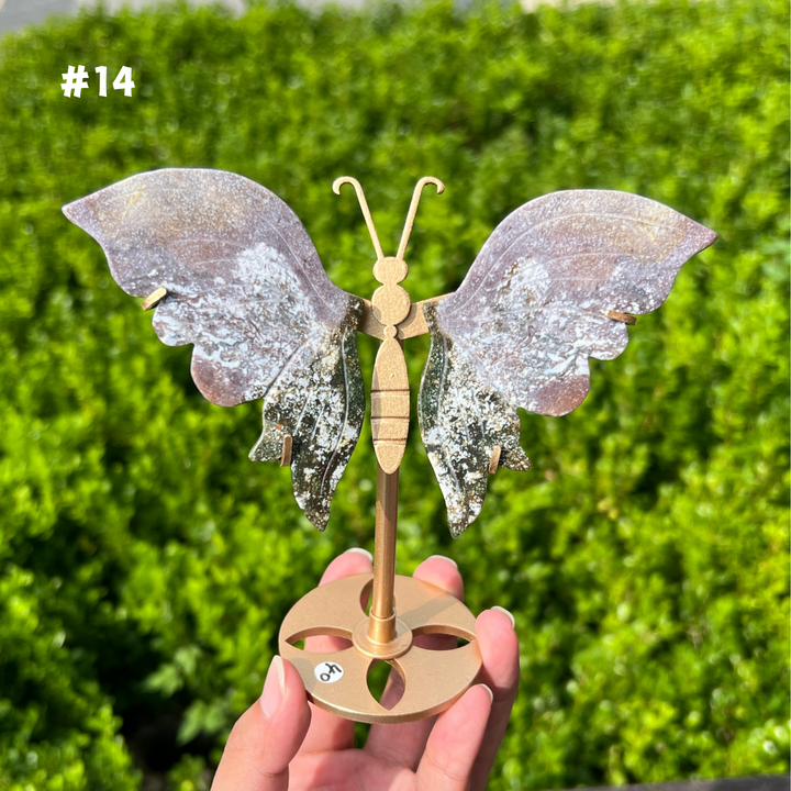 Ocean Jasper Butterfly