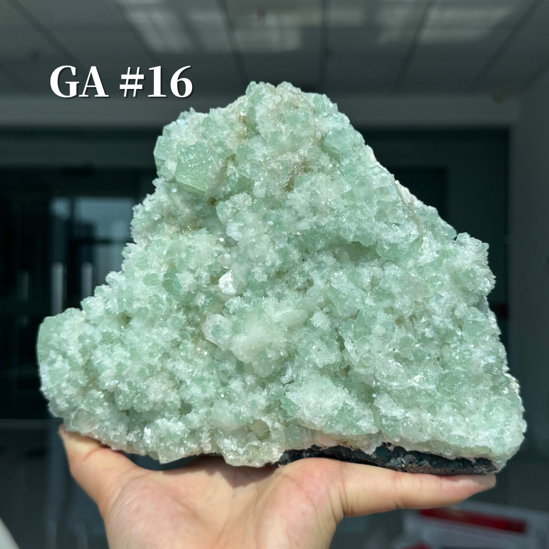 Unique, Sugar Druzy Apophyllite Cluster with Stilbite and Chlorite