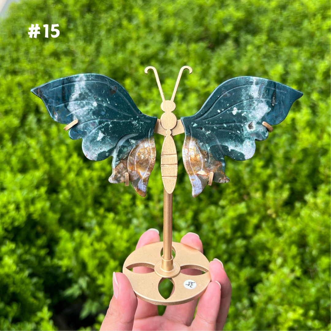 Ocean Jasper Butterfly