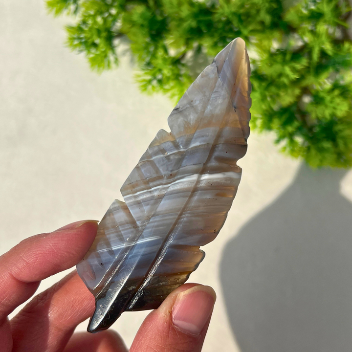 Agate Feather