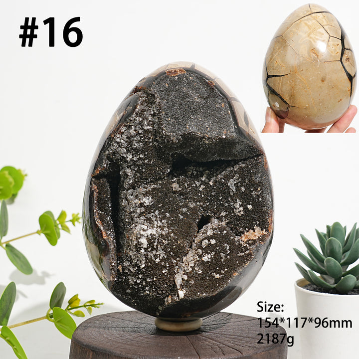 Unique,Natural Crystal Septarian Egg