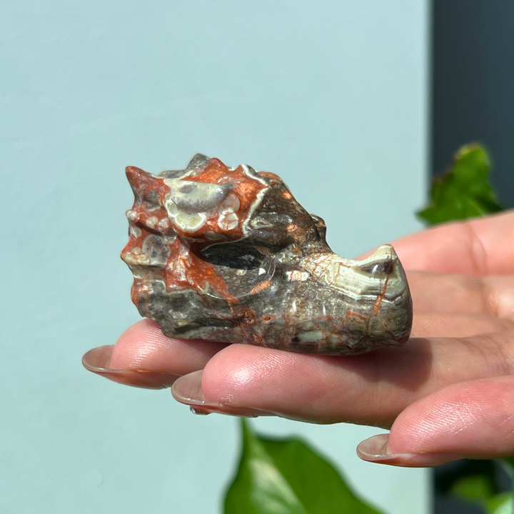 Dragon Skull