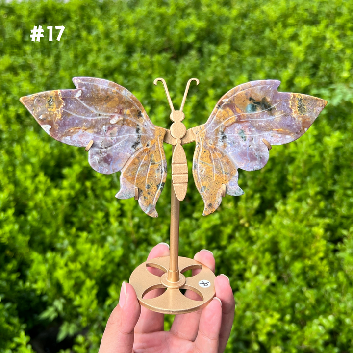 Ocean Jasper Butterfly