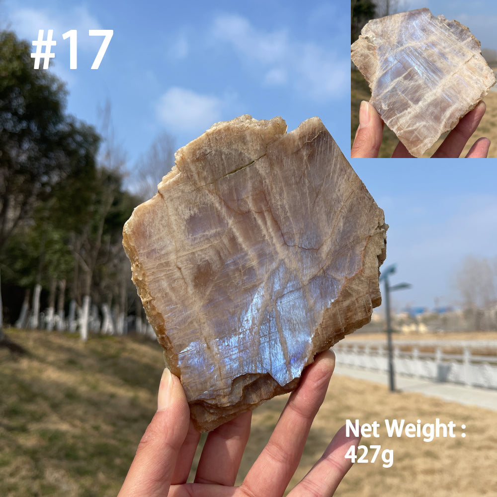 Unique,Natural Crystal Moonstone Slices