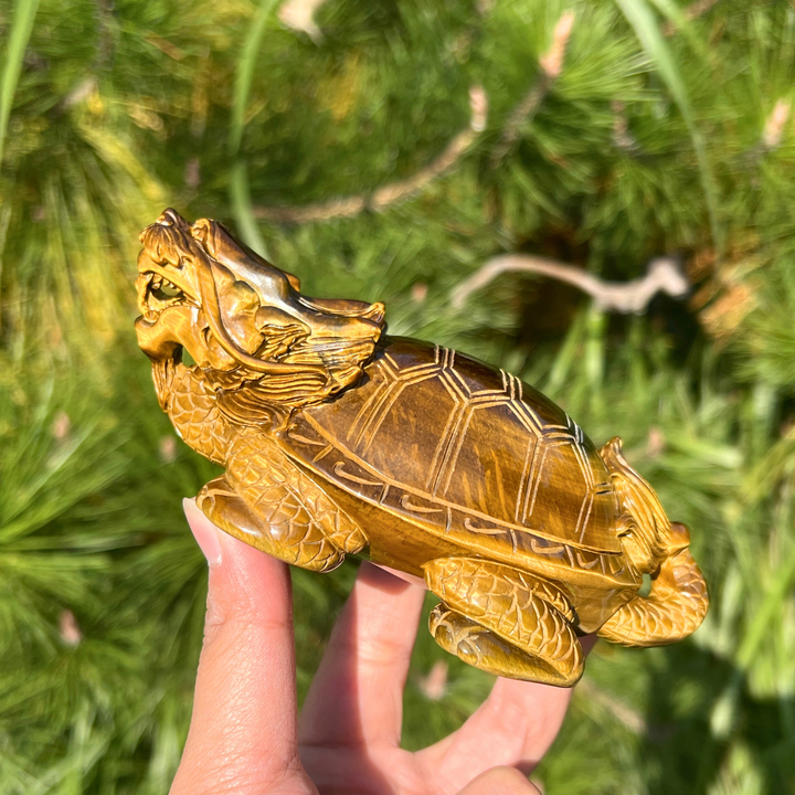 Natural Tiger Eye Carving Dragon Turtle