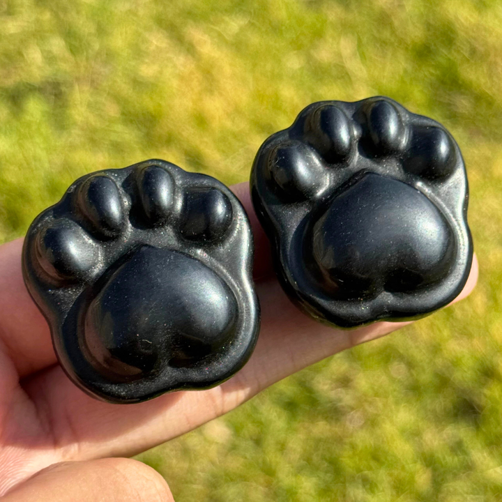 Natural Obsidian Cat Paw Sculpture