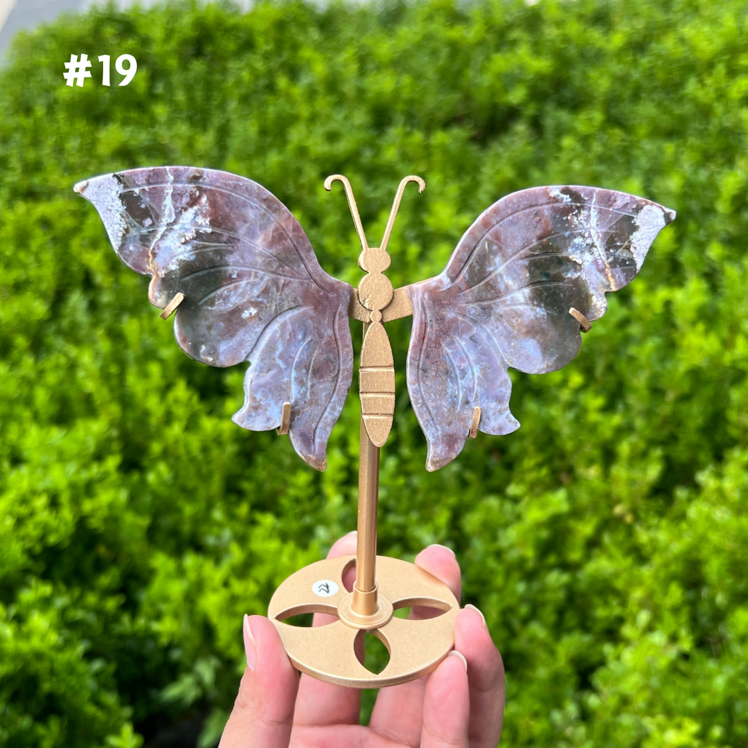 Ocean Jasper Butterfly