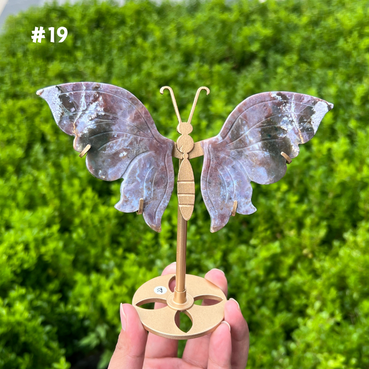 Ocean Jasper Butterfly