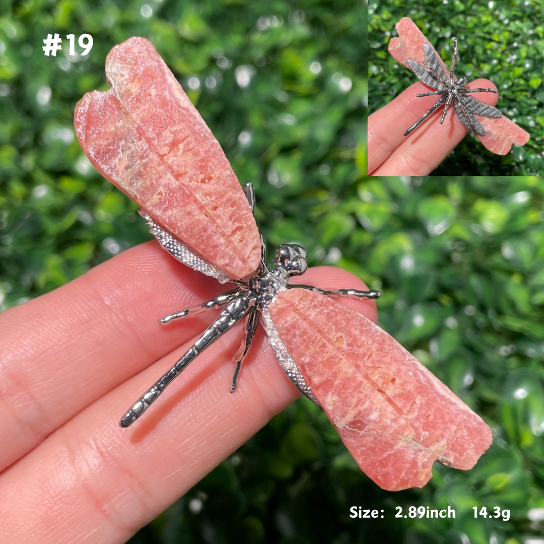 Unique,Rhodochrosite Dragonfly