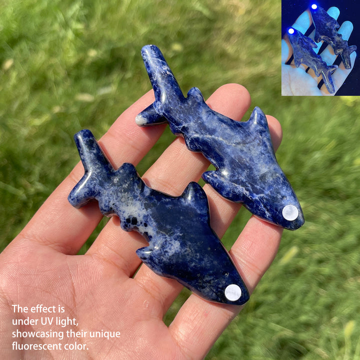 A Slightly Imperfect Natural Crystal Carving Sleek Bodied Fish