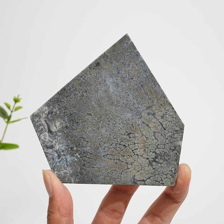 Unique,Natural Crystal Agate With Pyrite Slice