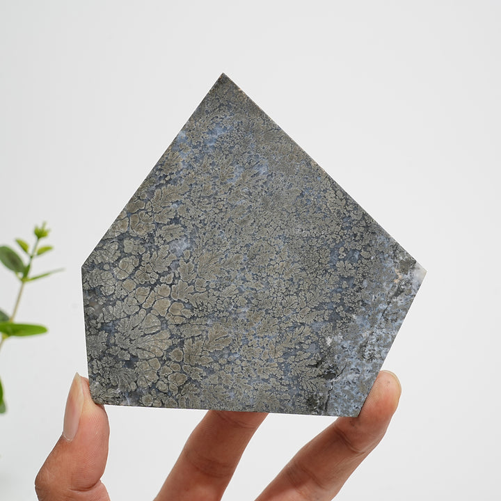 Unique,Natural Crystal Agate With Pyrite Slice