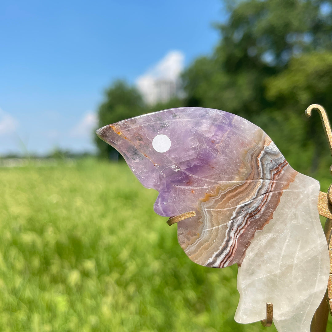 Unique,A Slightly Imperfect Natural Amethyst Agate Butterfly Wing With Stand