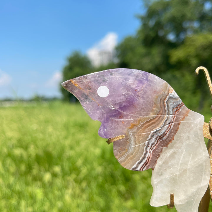 Unique,A Slightly Imperfect Natural Amethyst Agate Butterfly Wing With Stand