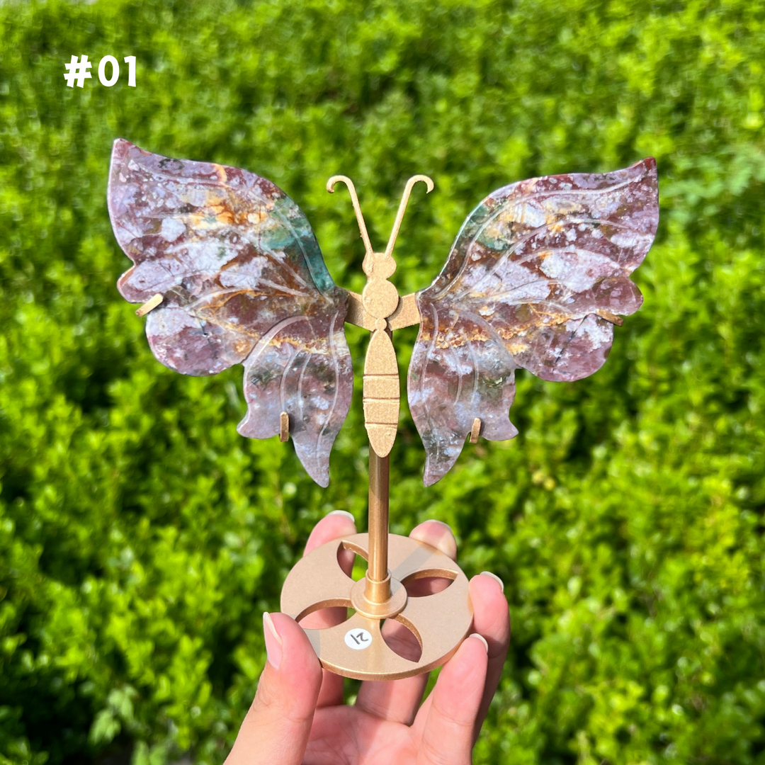 Ocean Jasper Butterfly