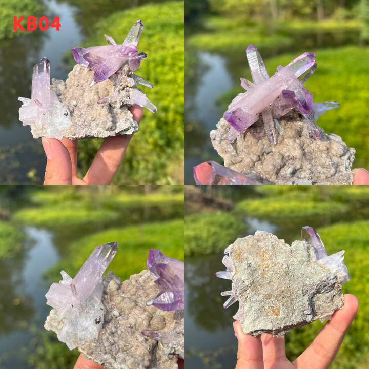 Vera Cruz Amethyst Cluster