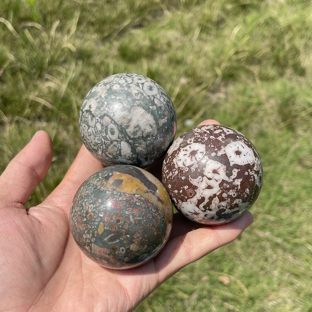 Natural Crystal Crinoid Fossil Sphere