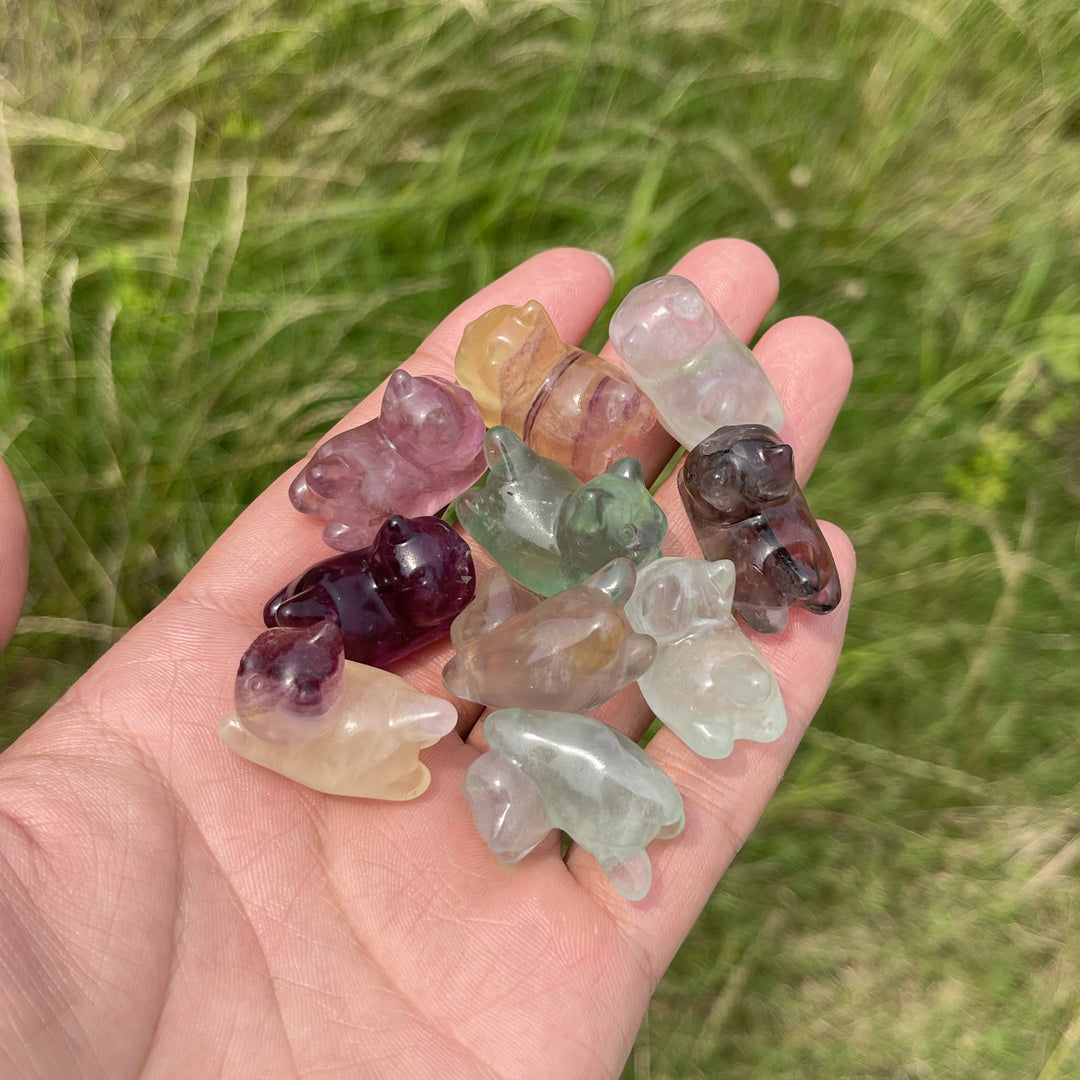 Natural Crystal Adorable Fluorite Wiggly Cat Carving