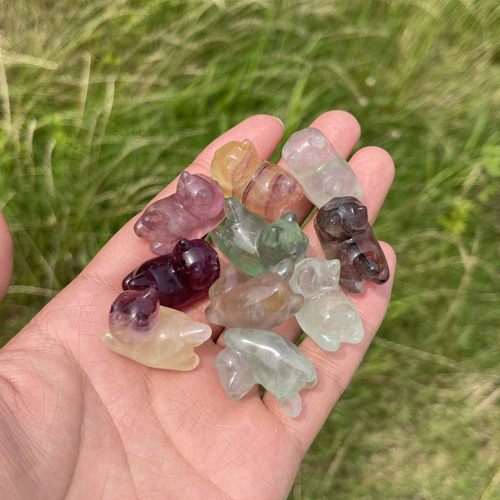 Natural Crystal Adorable Fluorite Wiggly Cat Carving