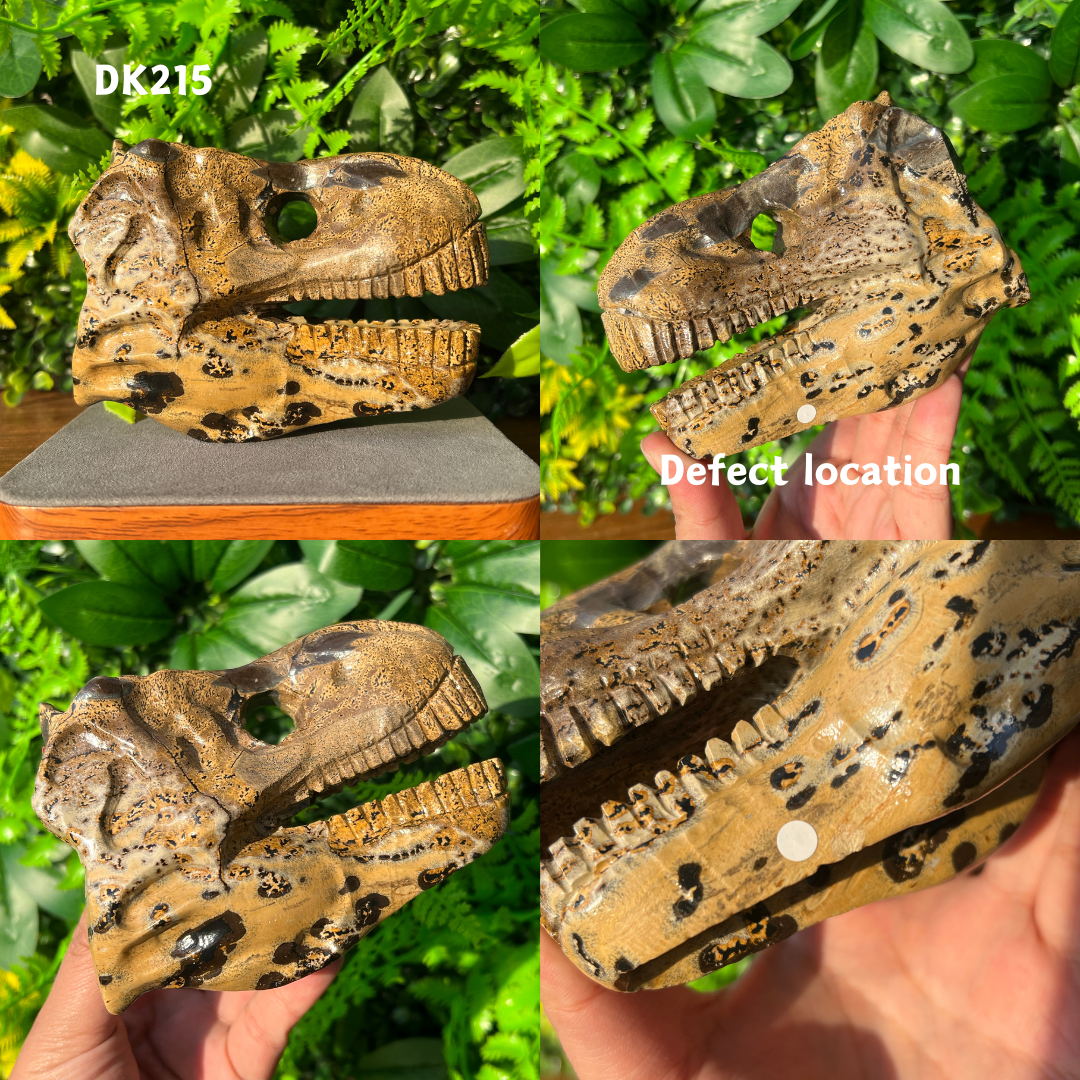 Tyrannosaurus Skull Carving