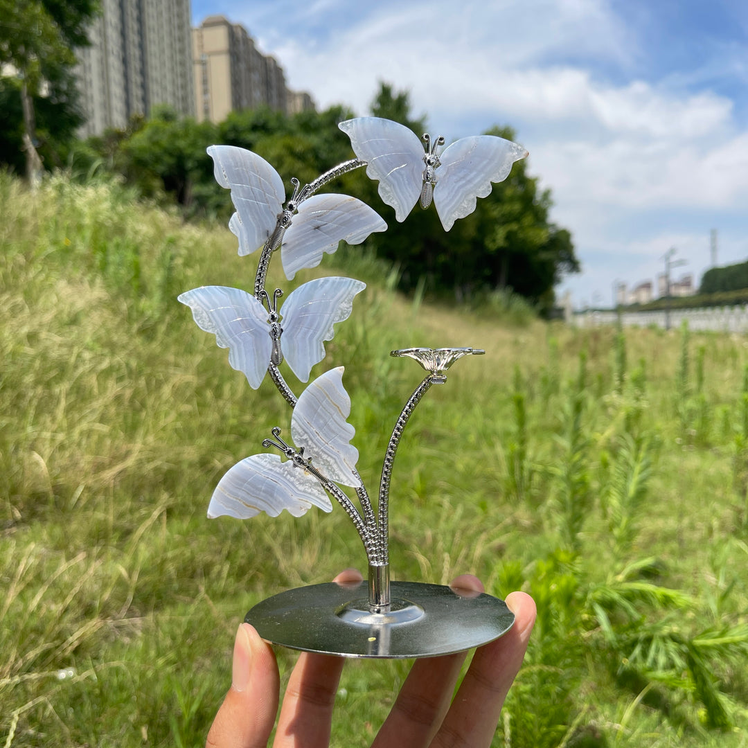 A Slightly Imperfect Natural Crystal Blue Lace Agate Butterfly Sphere Stand