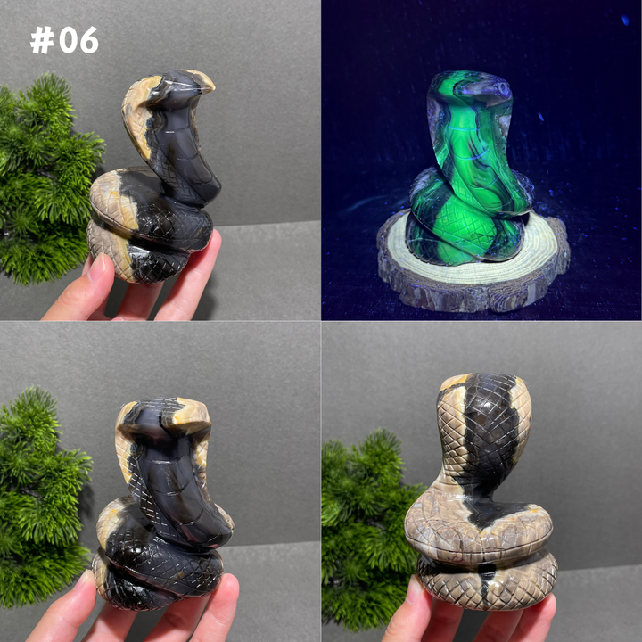 Unique,Volcanic Agate Snake