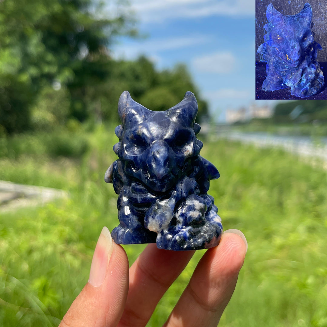 Natural Crystal Skull Dragon Carving