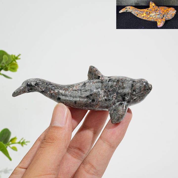 Natural Crystal Carving Orca